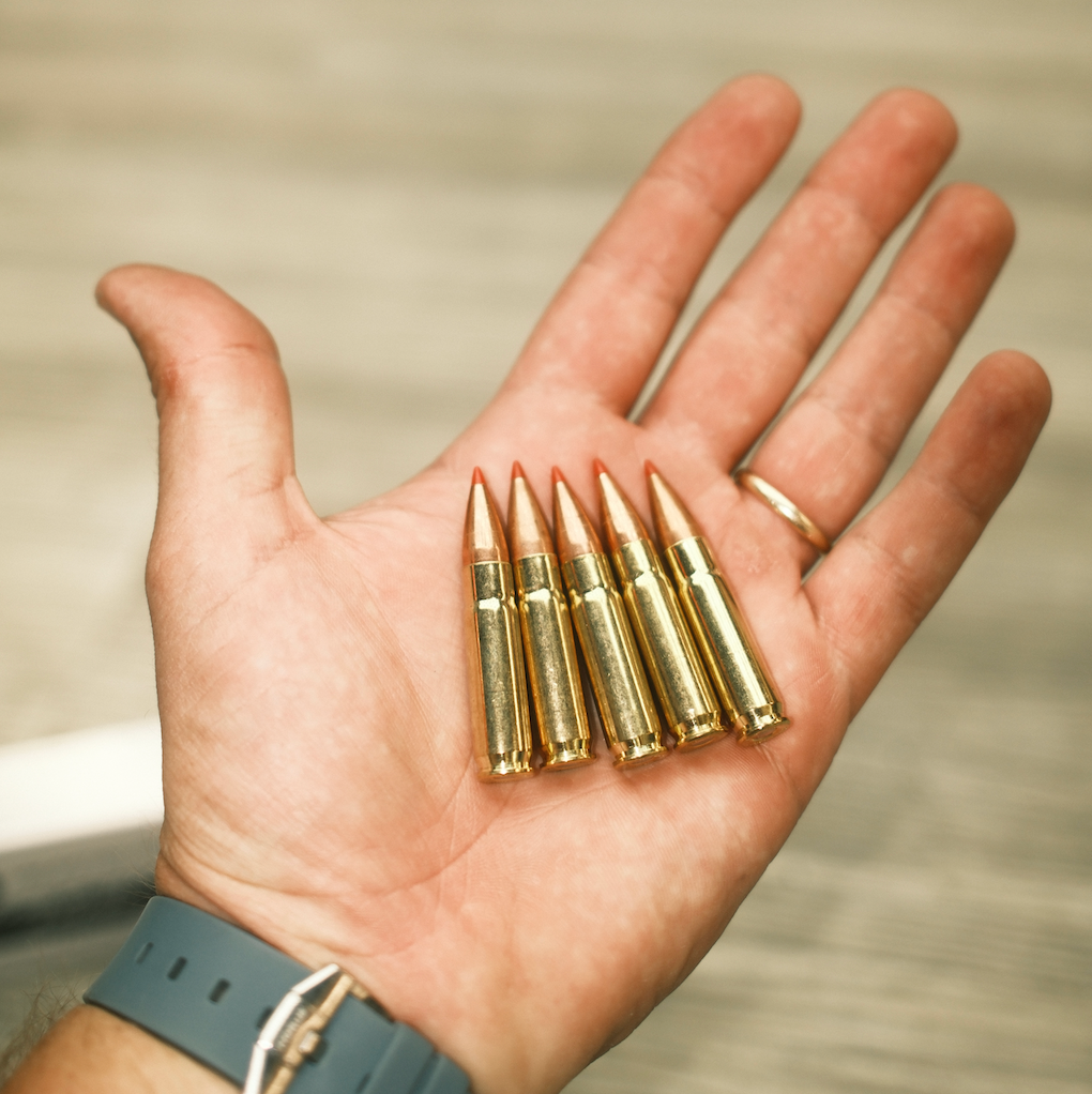 300 Blackout 110gr V-max 20rd Bag