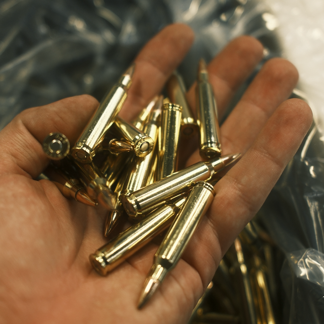 223 55gr FMJ 100/rd