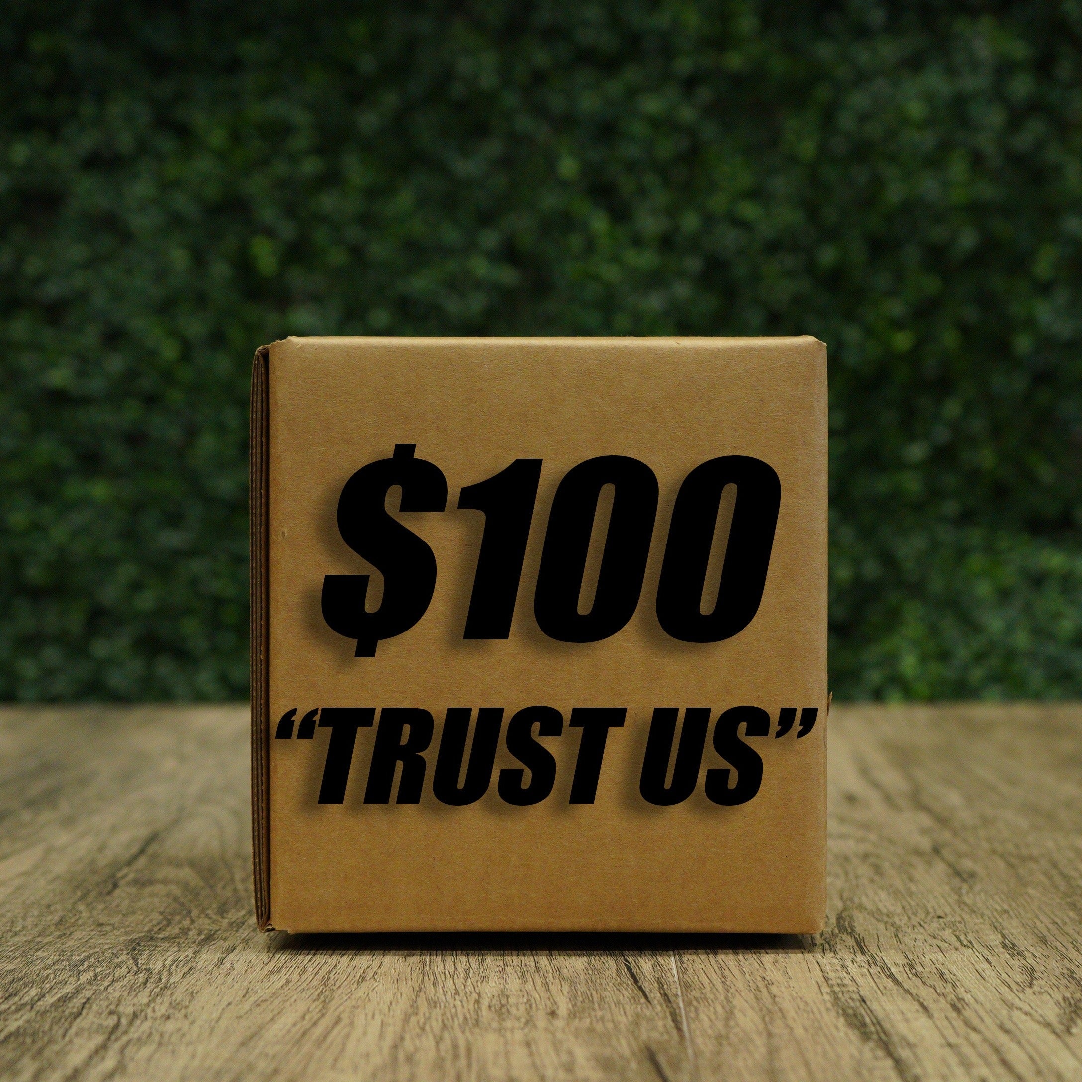 $100 TRUST US