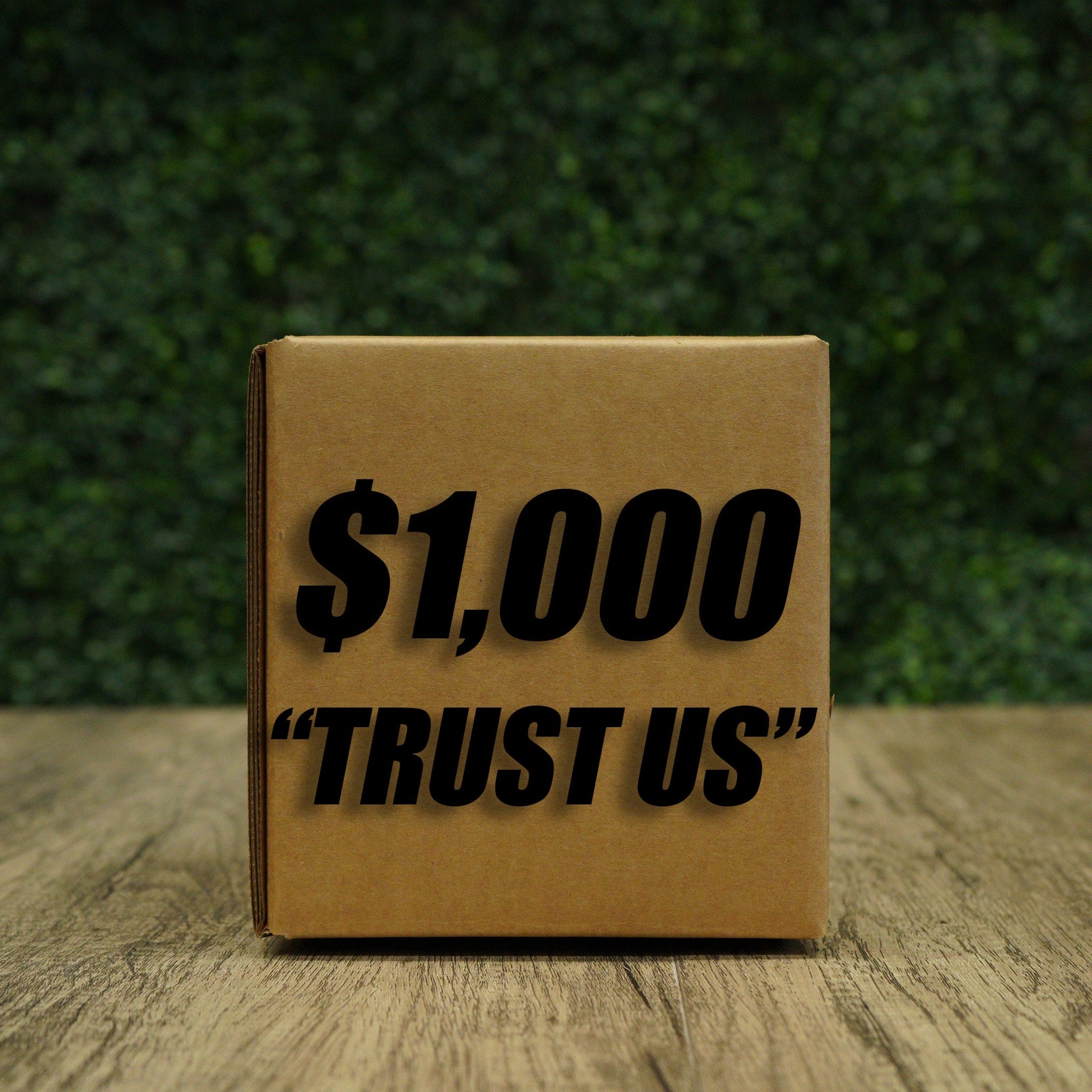 $1,000 TRUST US