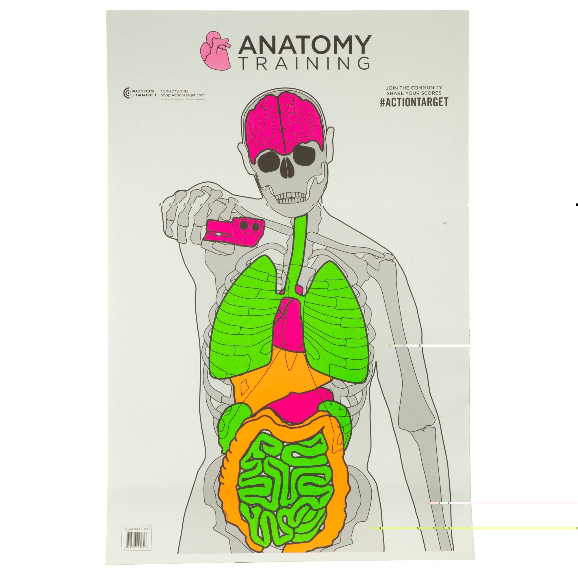 Action Tgt Anatomy Trng 100pk