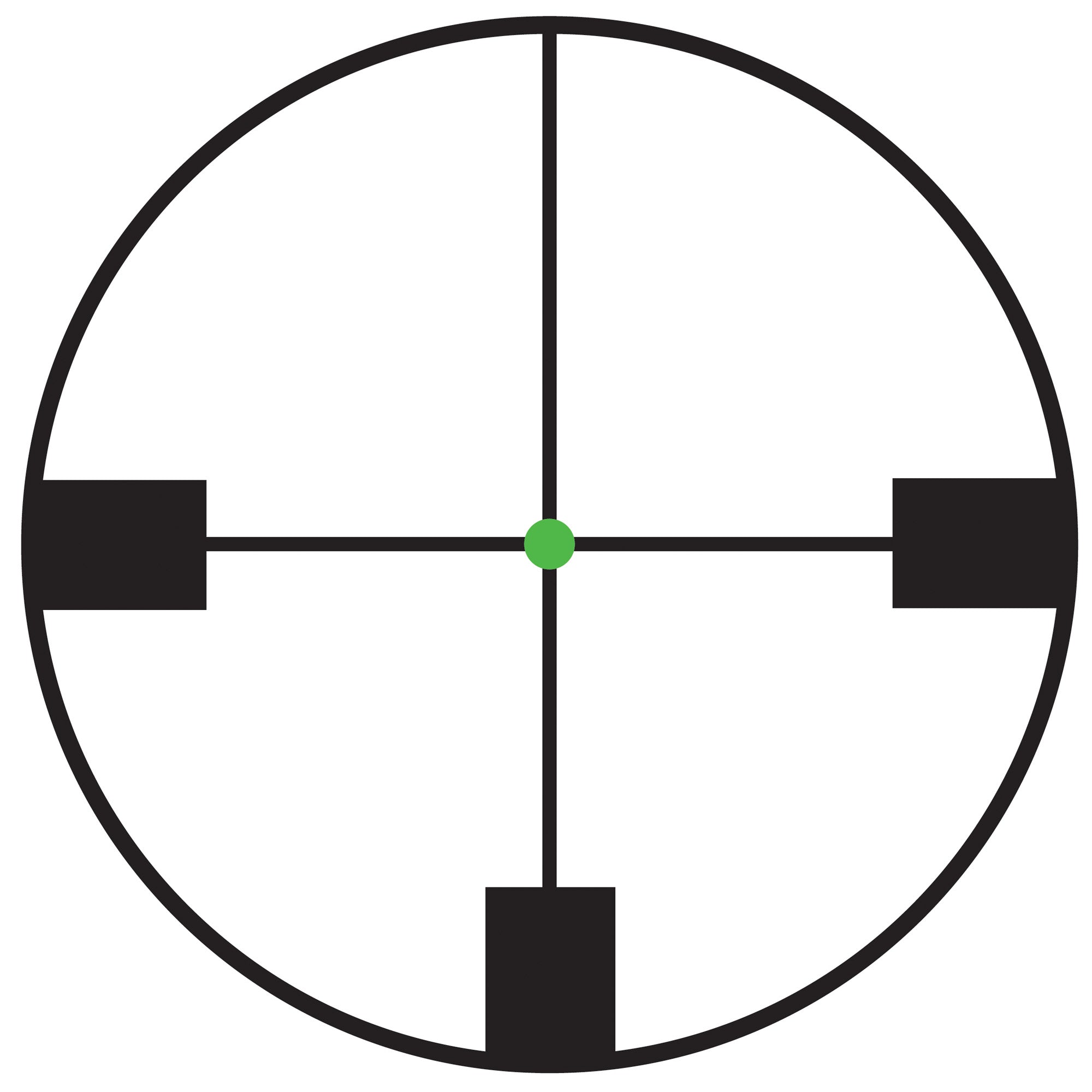 Trijicon Accupoint 1-6x24 German #4