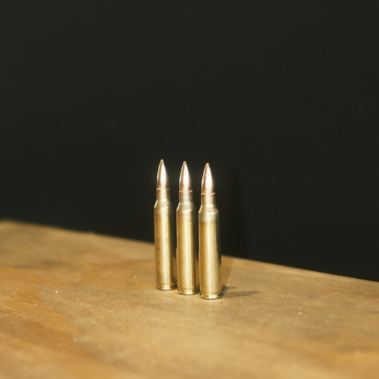 5.56x45 55gr FMJ 50/rd Bag